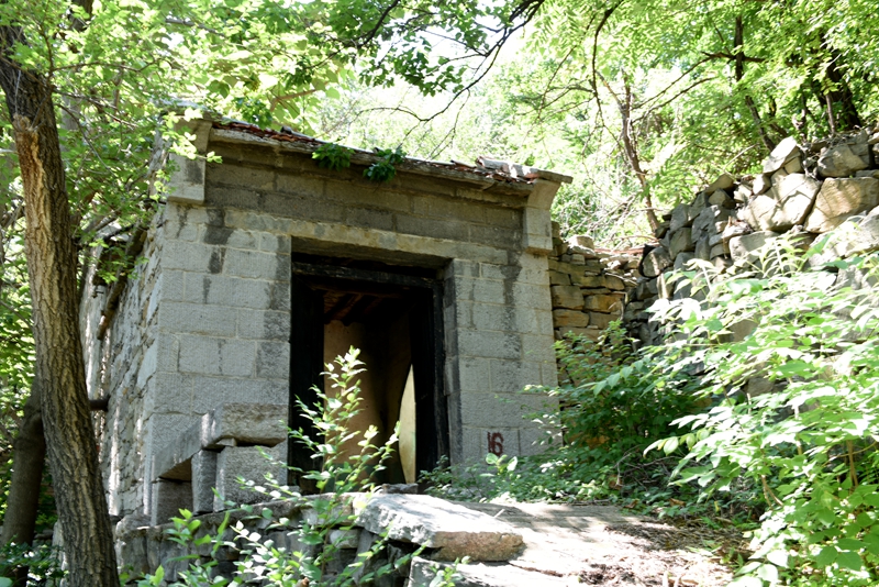 DSC_2314.jpg