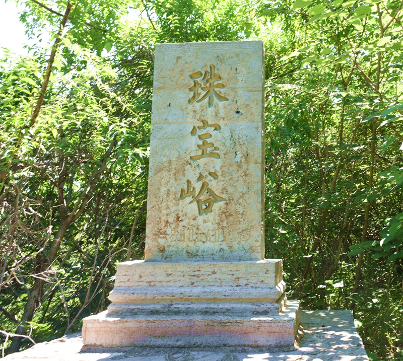 DSC_2317.jpg