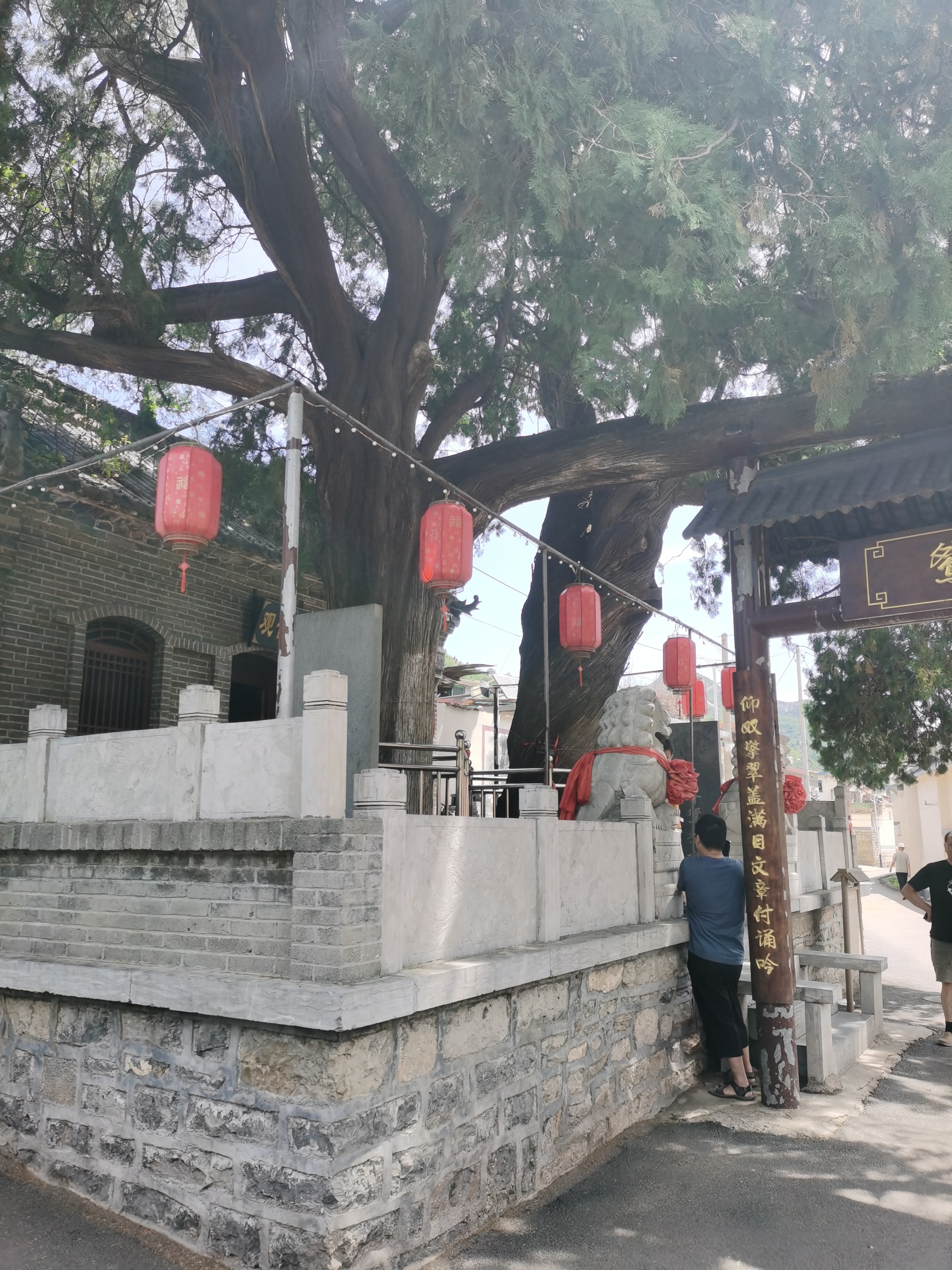 微信图片_20250623105239.jpg