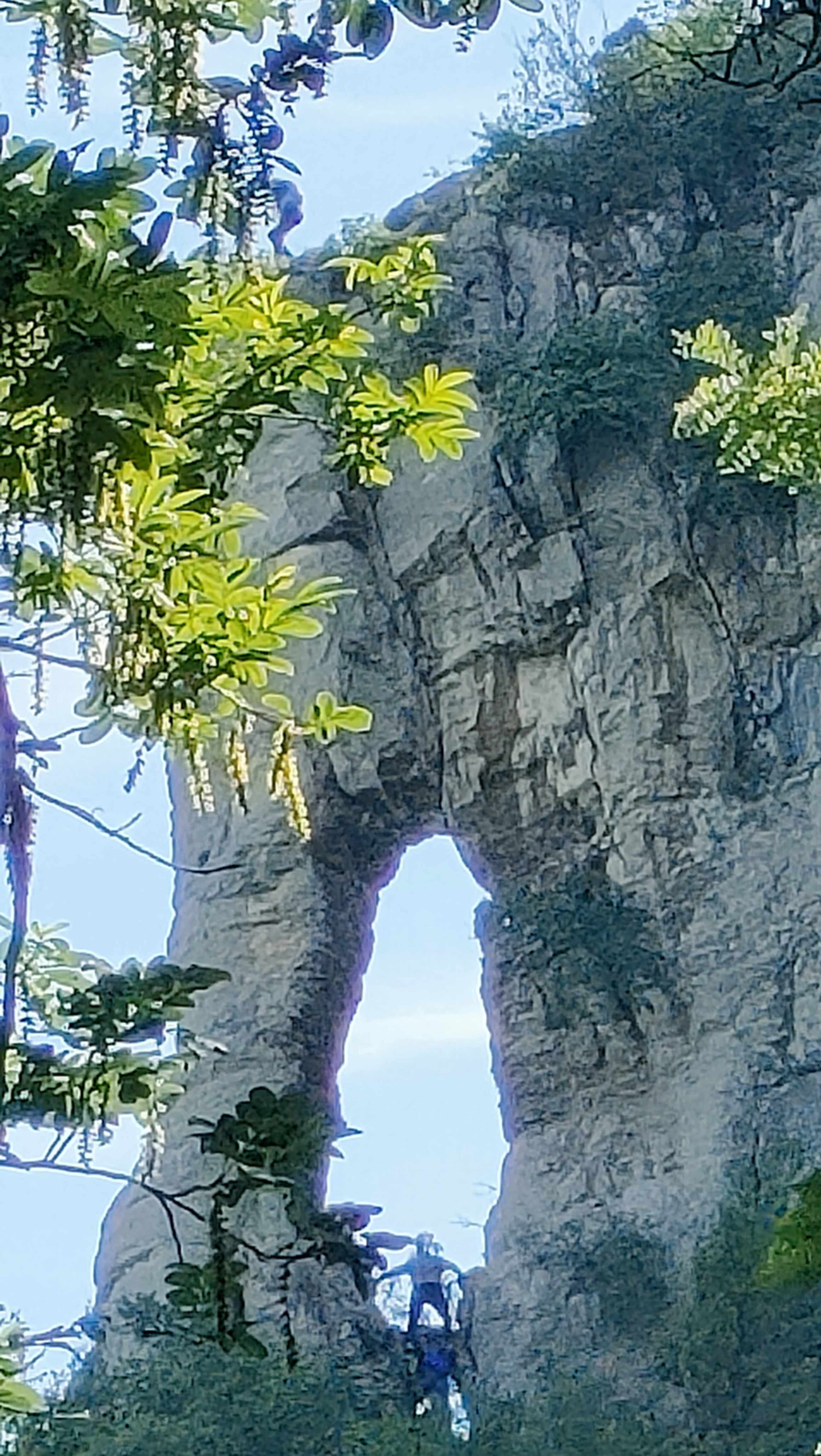 微信图片_20250623145158.jpg