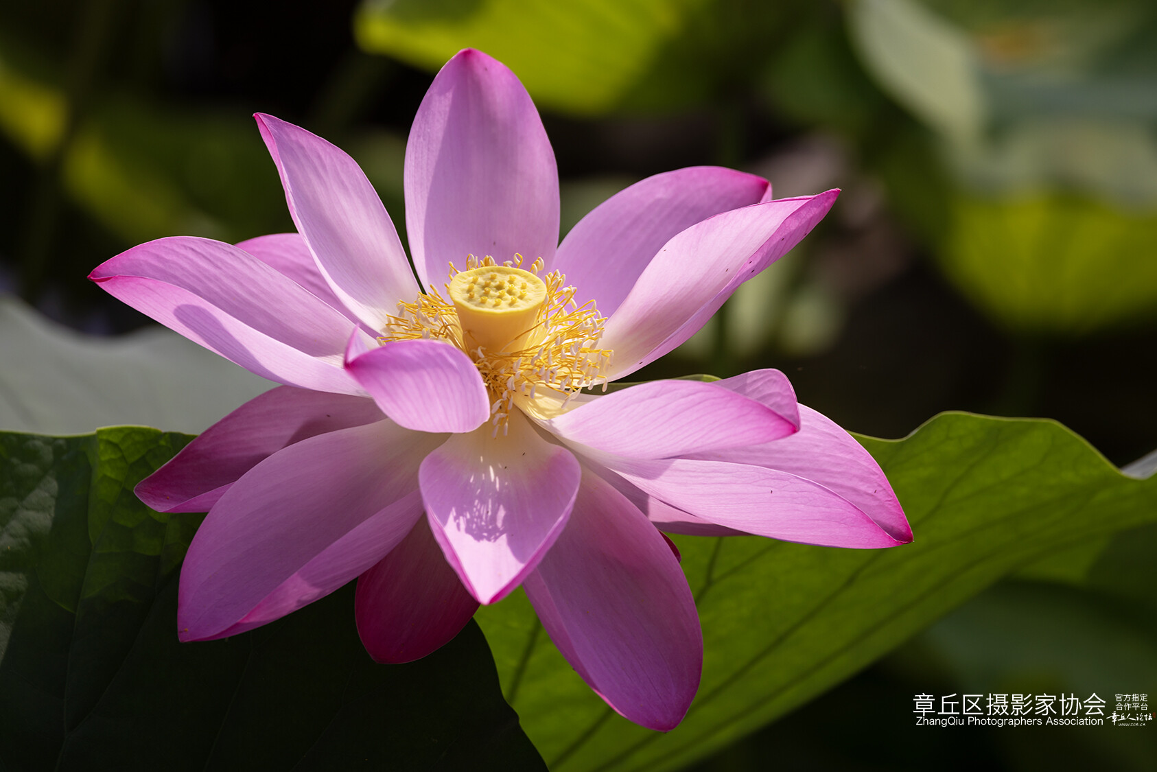 665A7902副本a.jpg