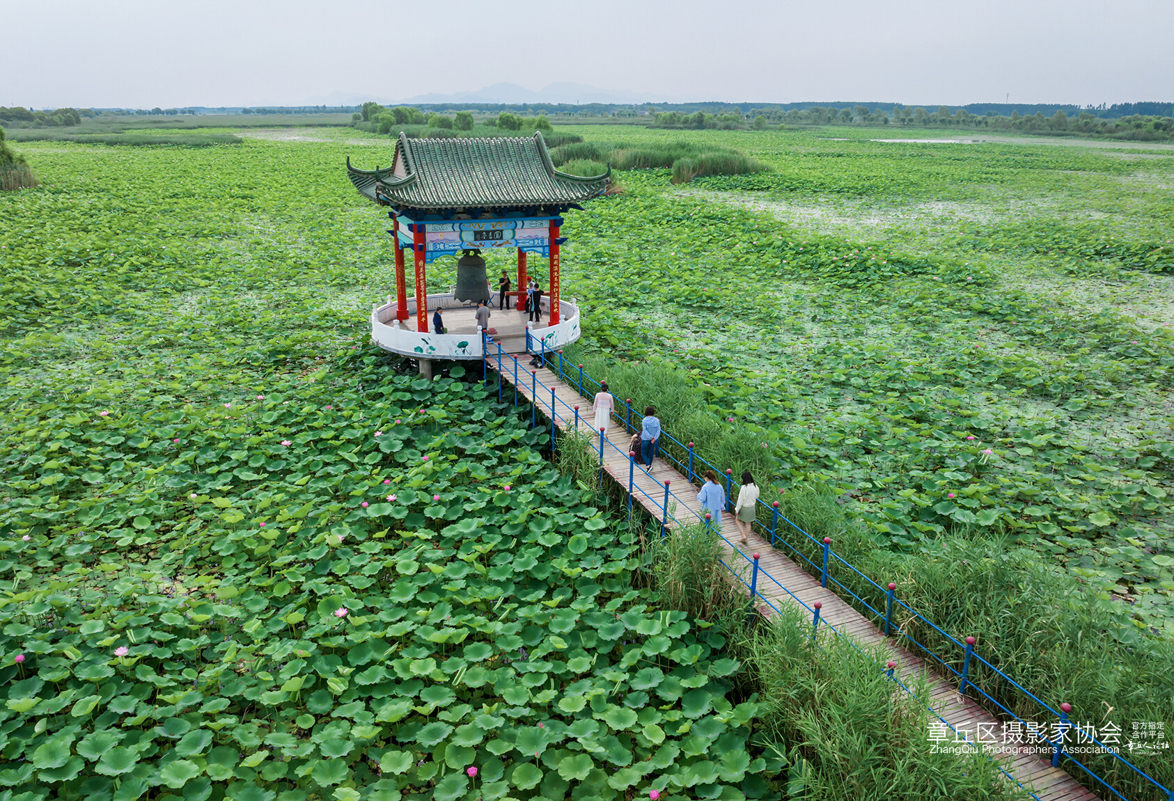 DJI_20250625091021_0037_D副本s.jpg