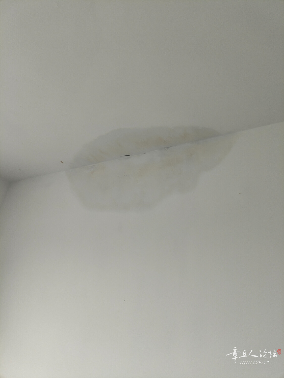 IMG20250628074610.jpg