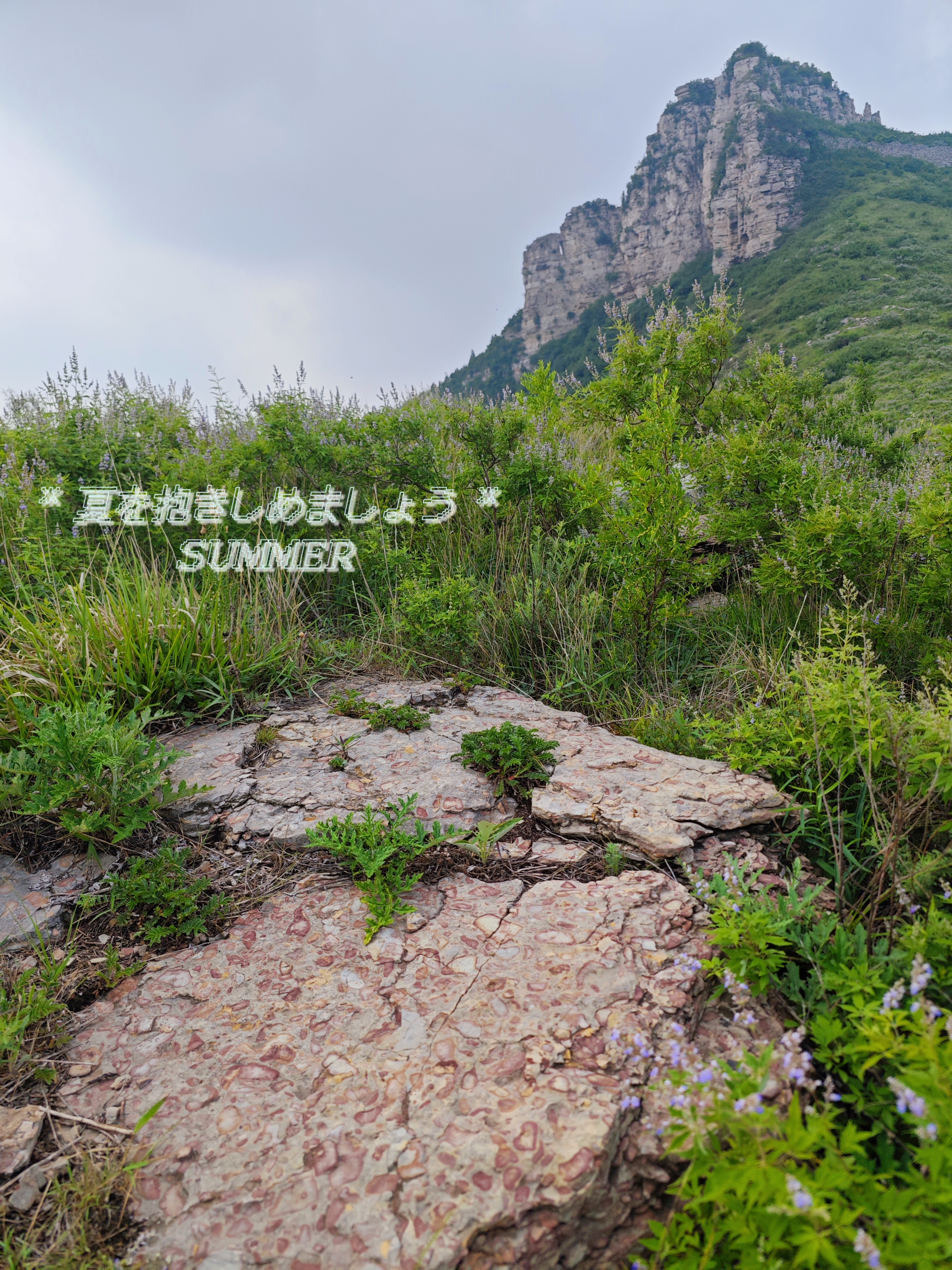 微信图片_20250630154724.jpg