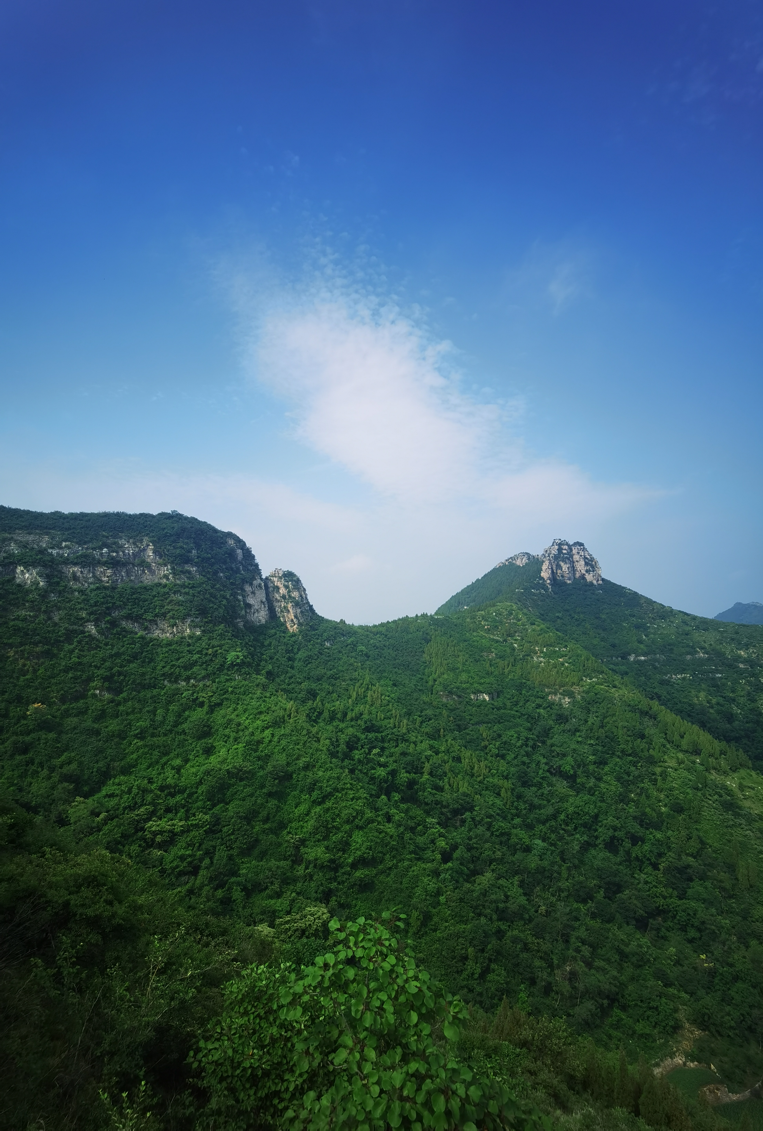 微信图片_20250630155003.jpg
