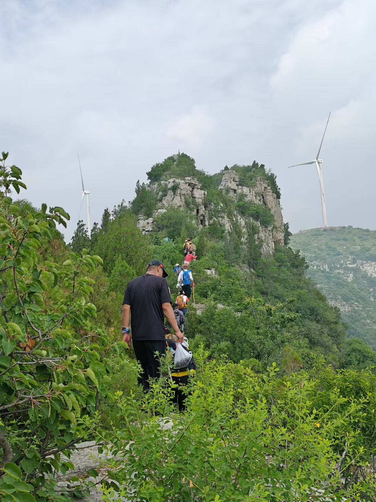 微信图片_20250630155903.jpg