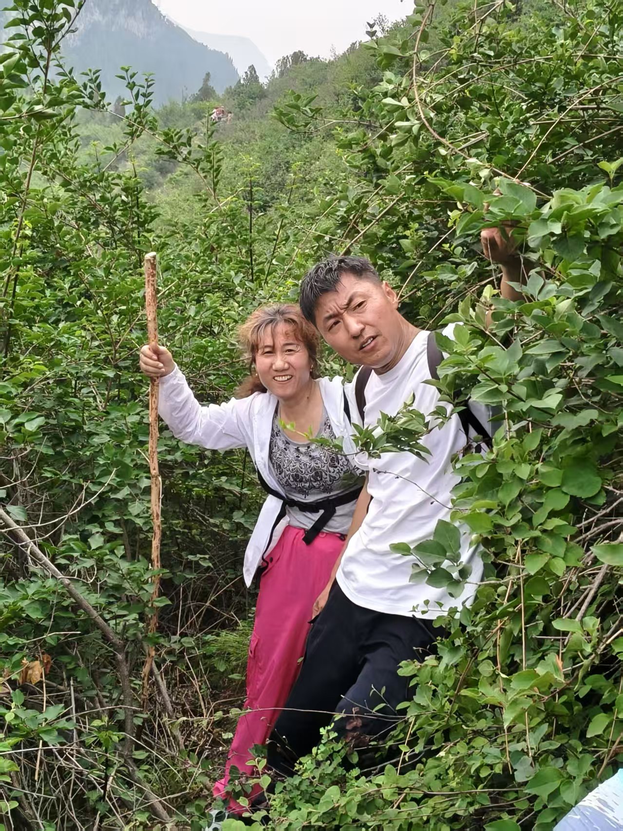 微信图片_20250630160553.jpg
