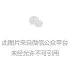 171521bswu9epad1xw9pbs.jpeg