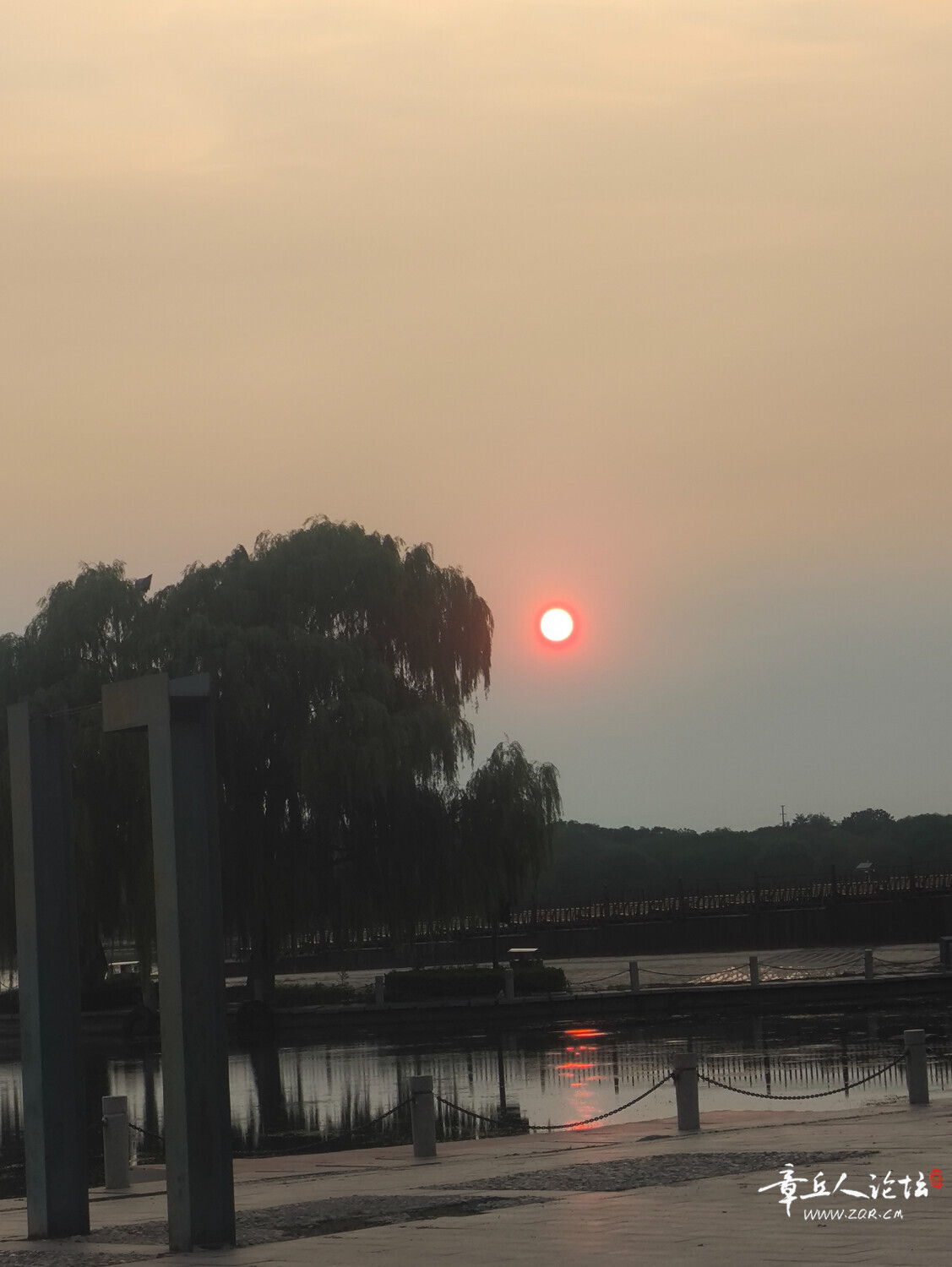 IMG_20250708_185916.jpg