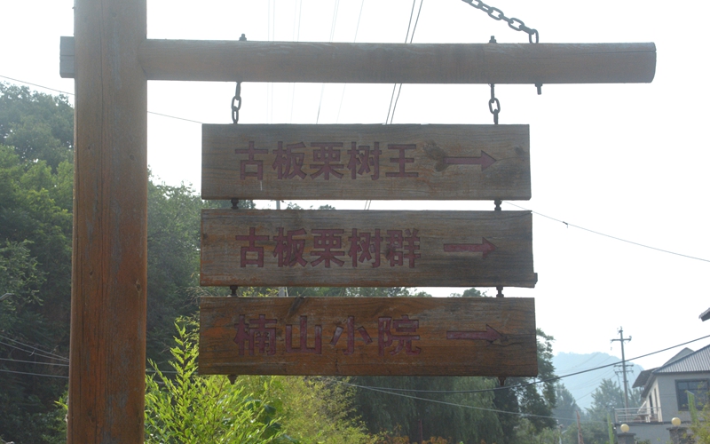 DSC_0036.jpg