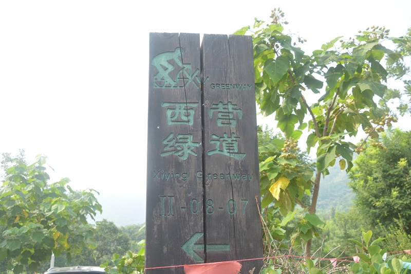 DSC_0059.jpg