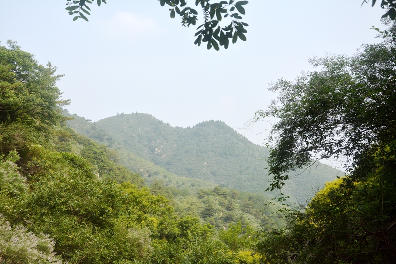 DSC_0109.jpg