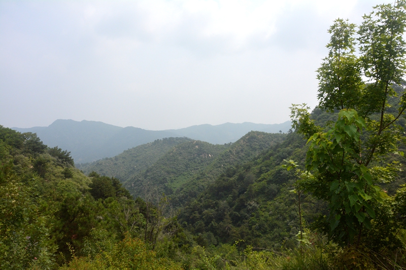 DSC_0171.jpg