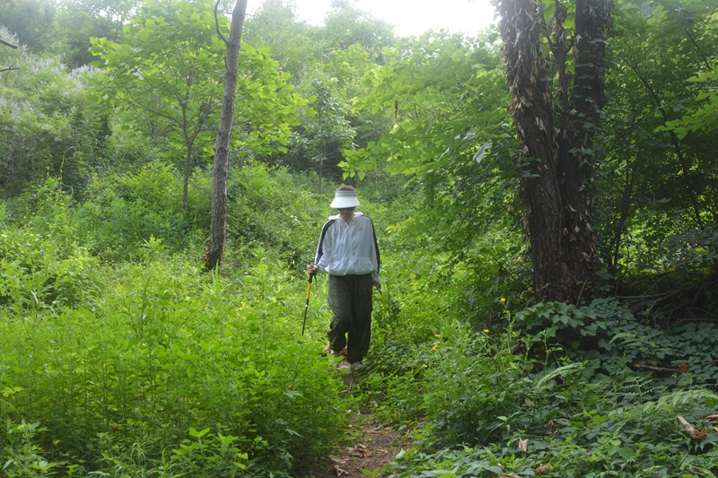 DSC_0154.jpg