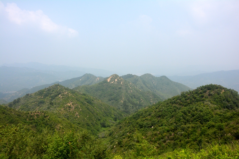 DSC_0181.jpg