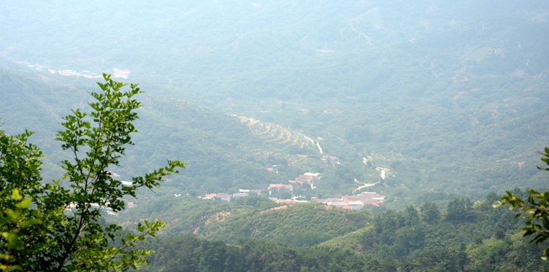 DSC_0180.jpg