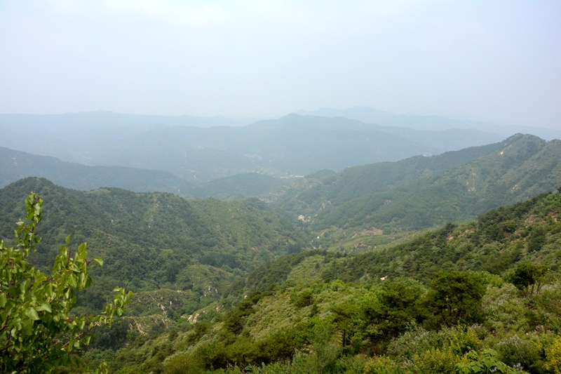DSC_0187.jpg