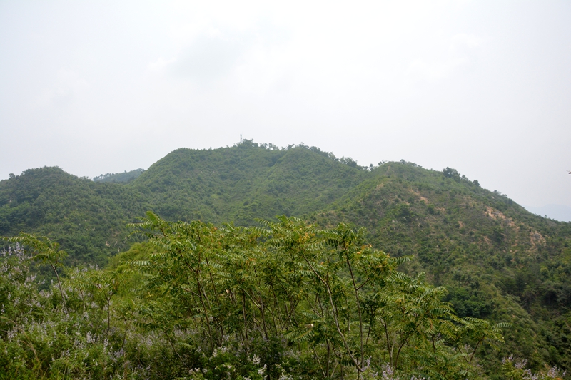 DSC_0186.jpg