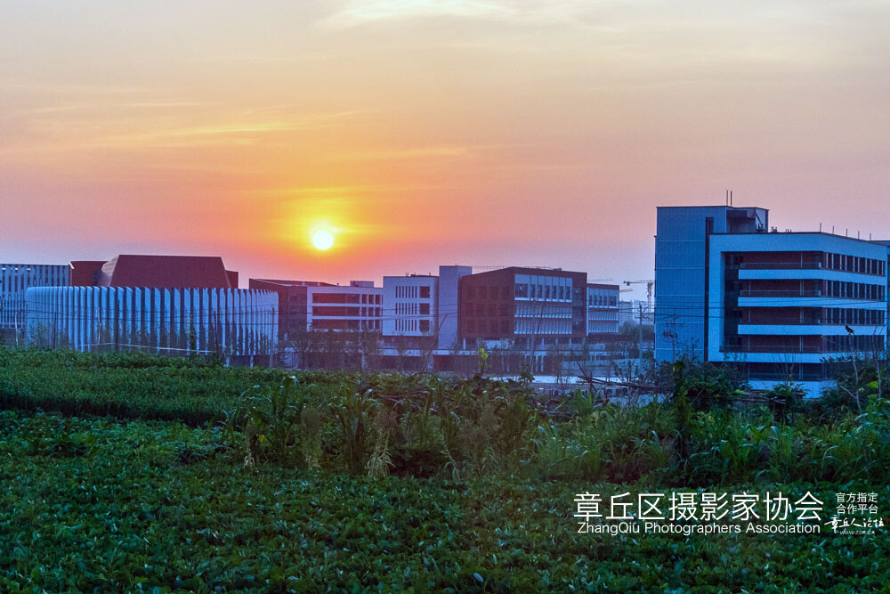 圣井 新城 (19).jpg