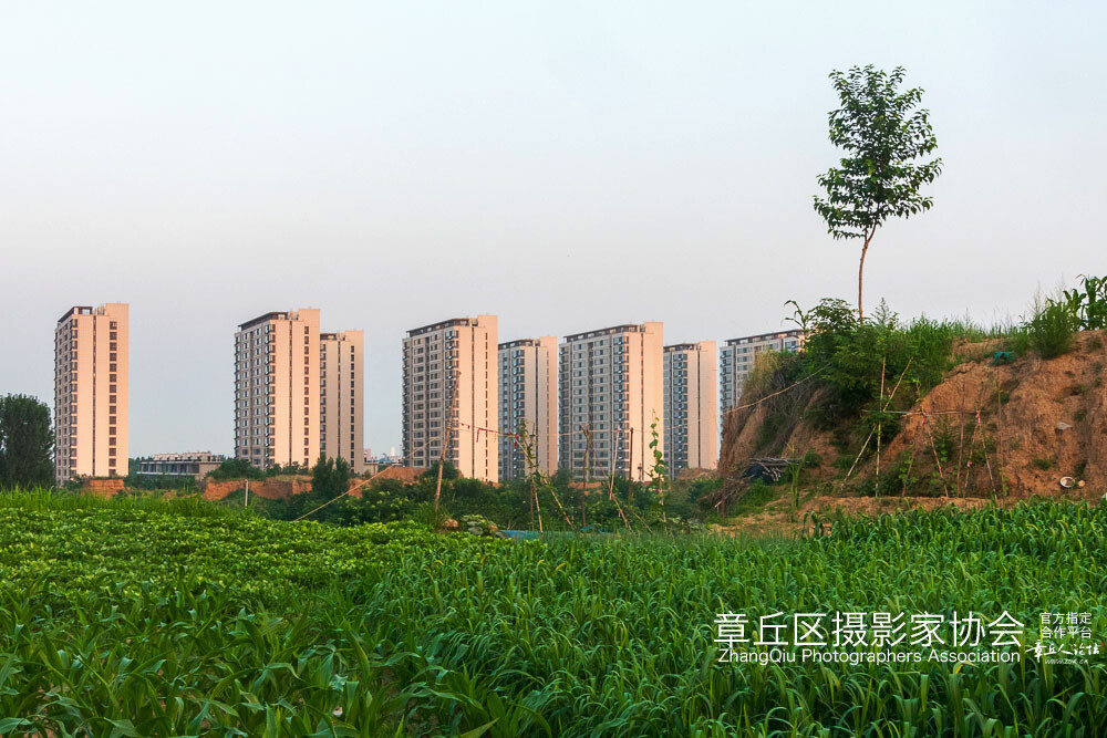 圣井 新城 (20).jpg
