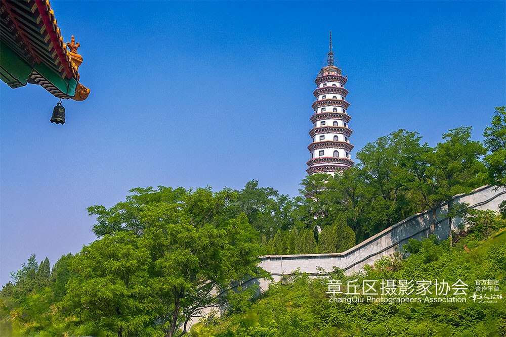 _DSC1199-拷贝-1.jpg