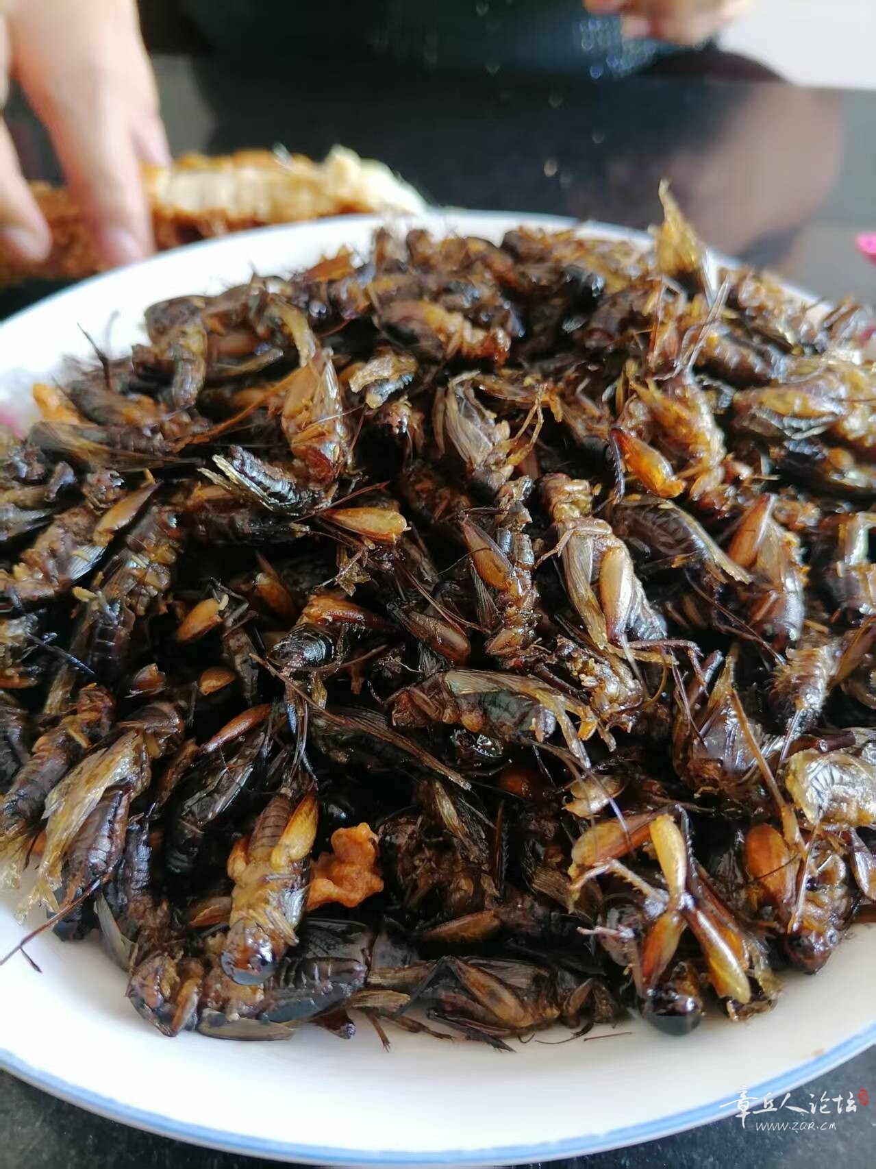 微信图片_2025-07-19_163434_596.jpg