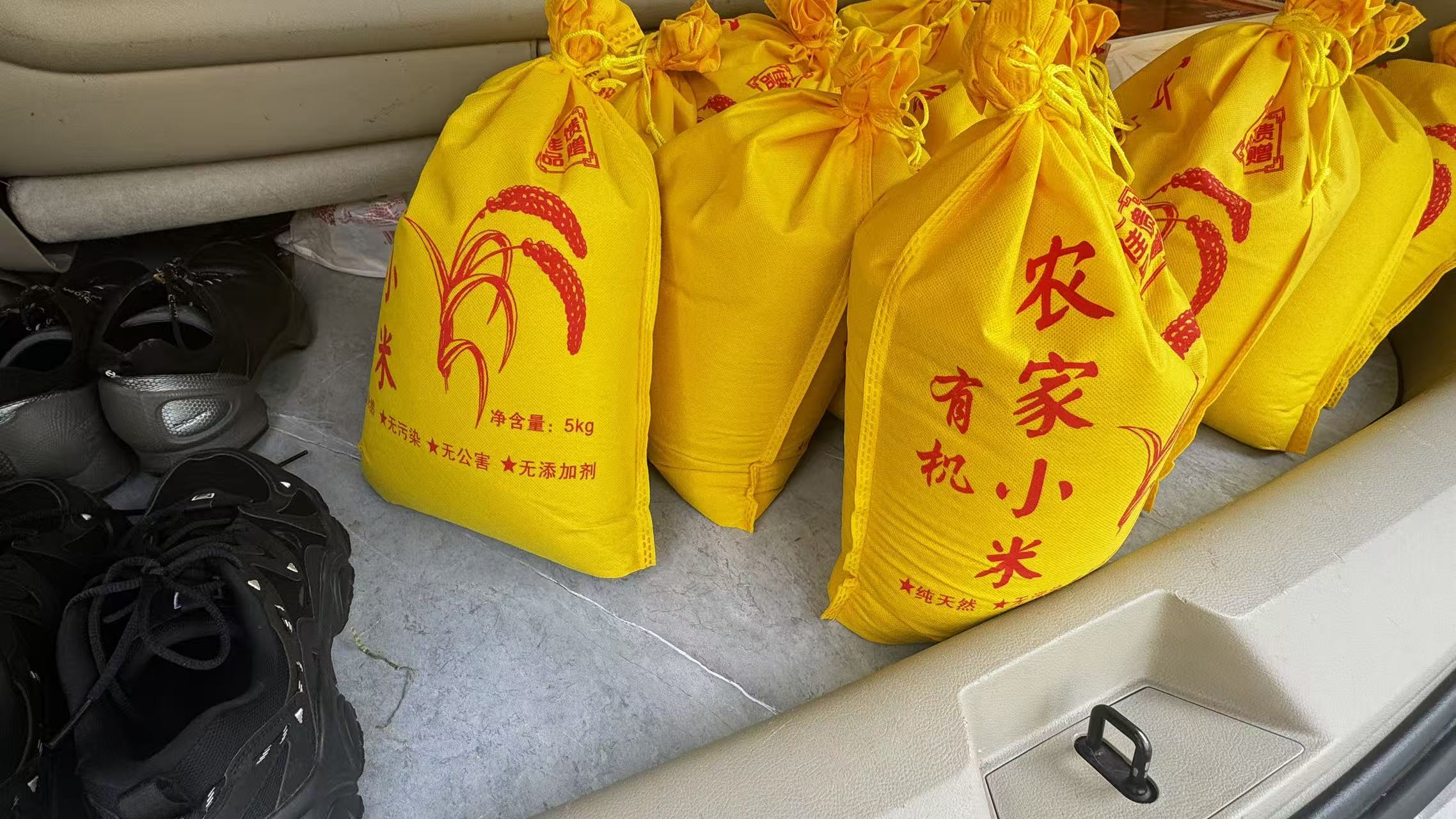 微信图片_20250930101901_29_295.jpg