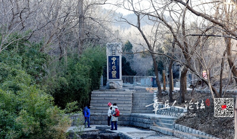 DSC_3733.jpg