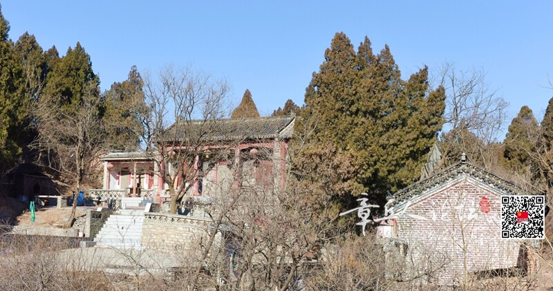 DSC_3931.jpg