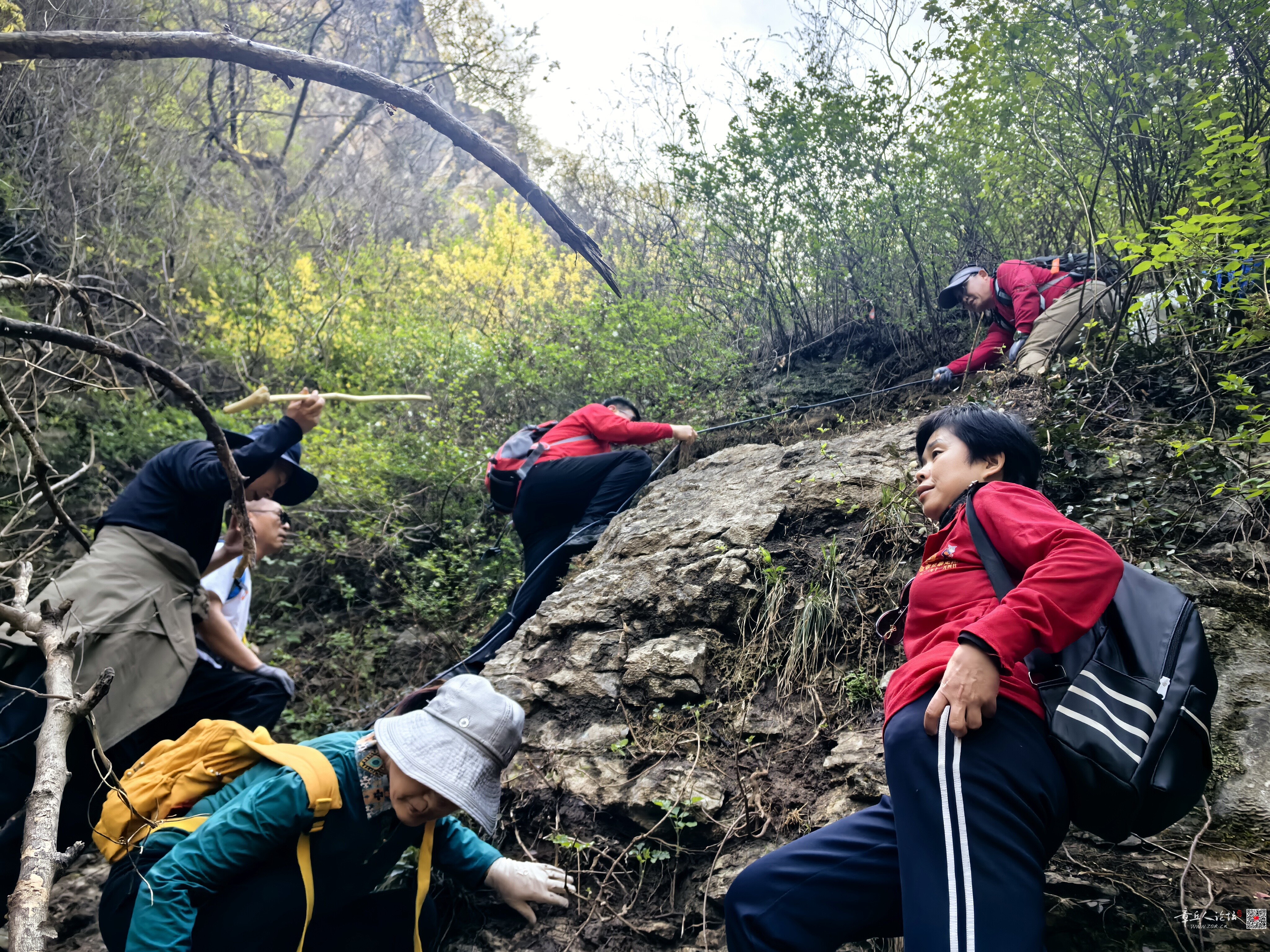 微信图片_20260413144235_75_10.jpg