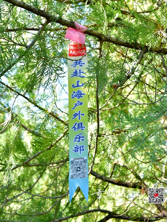 DSC_7788.jpg