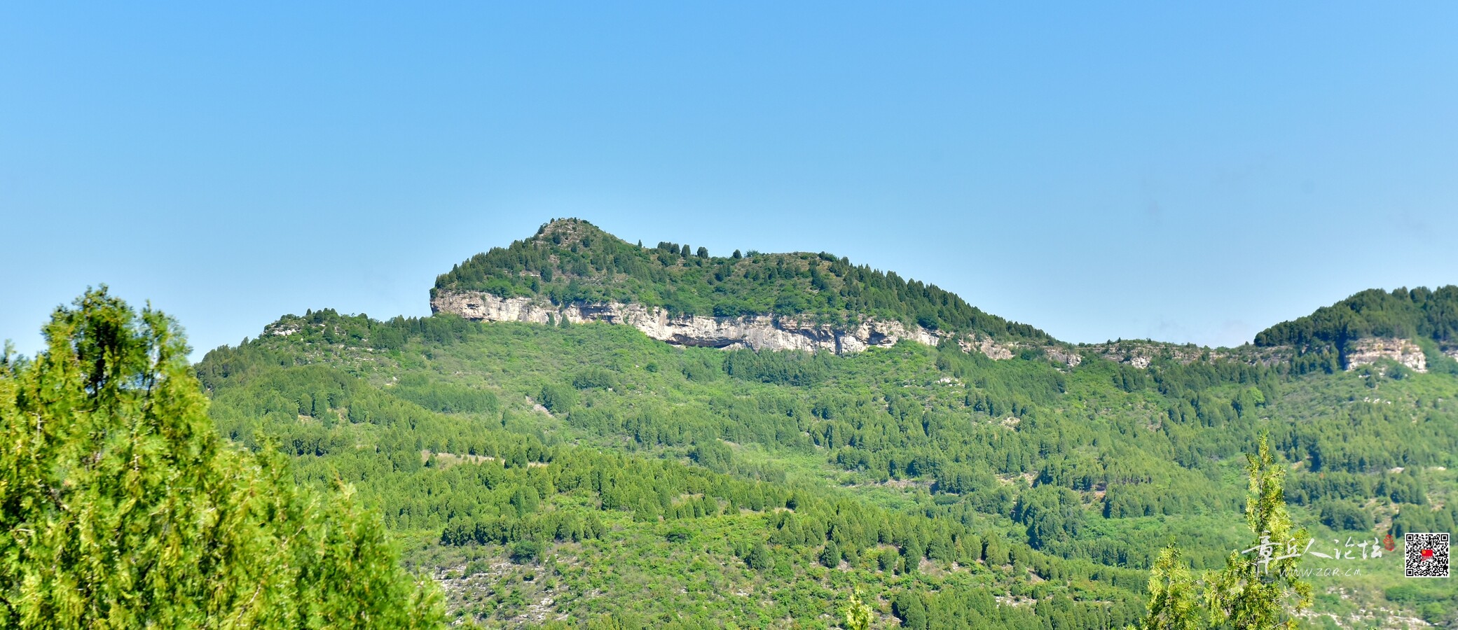 DSC_7789.jpg