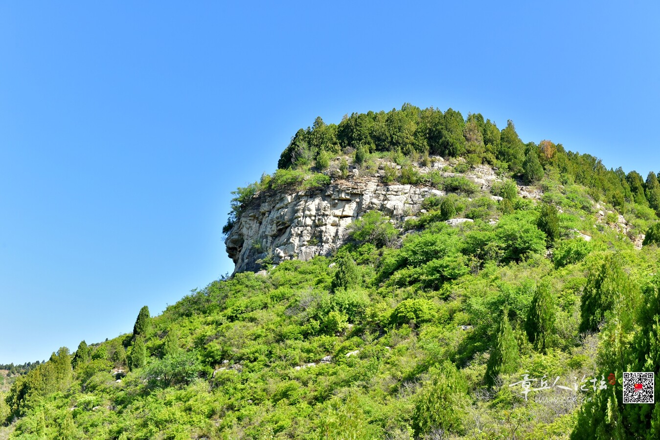 DSC_7805.jpg