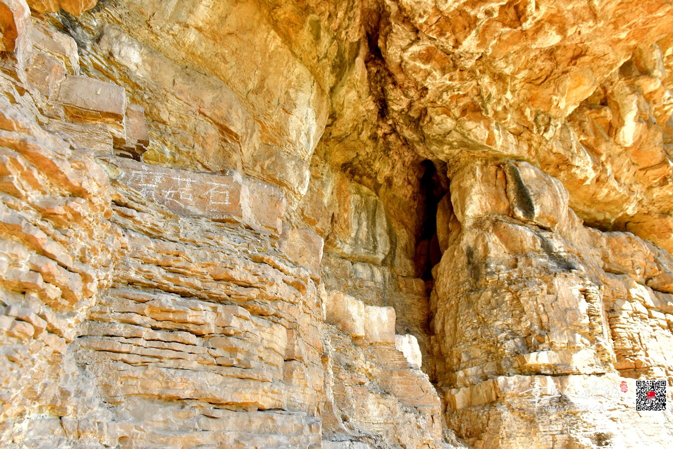 DSC_7810.jpg