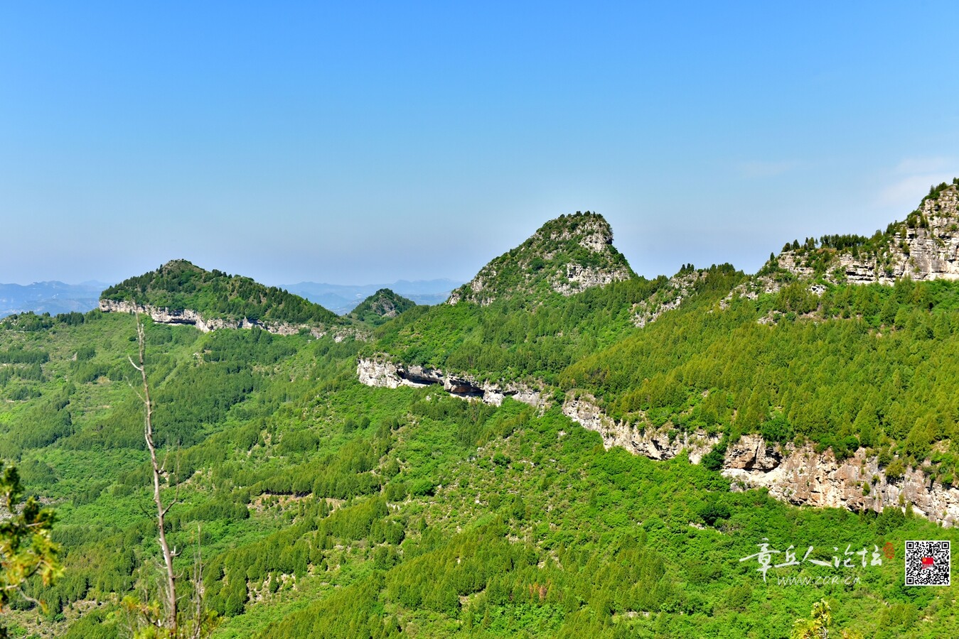 DSC_7822.jpg