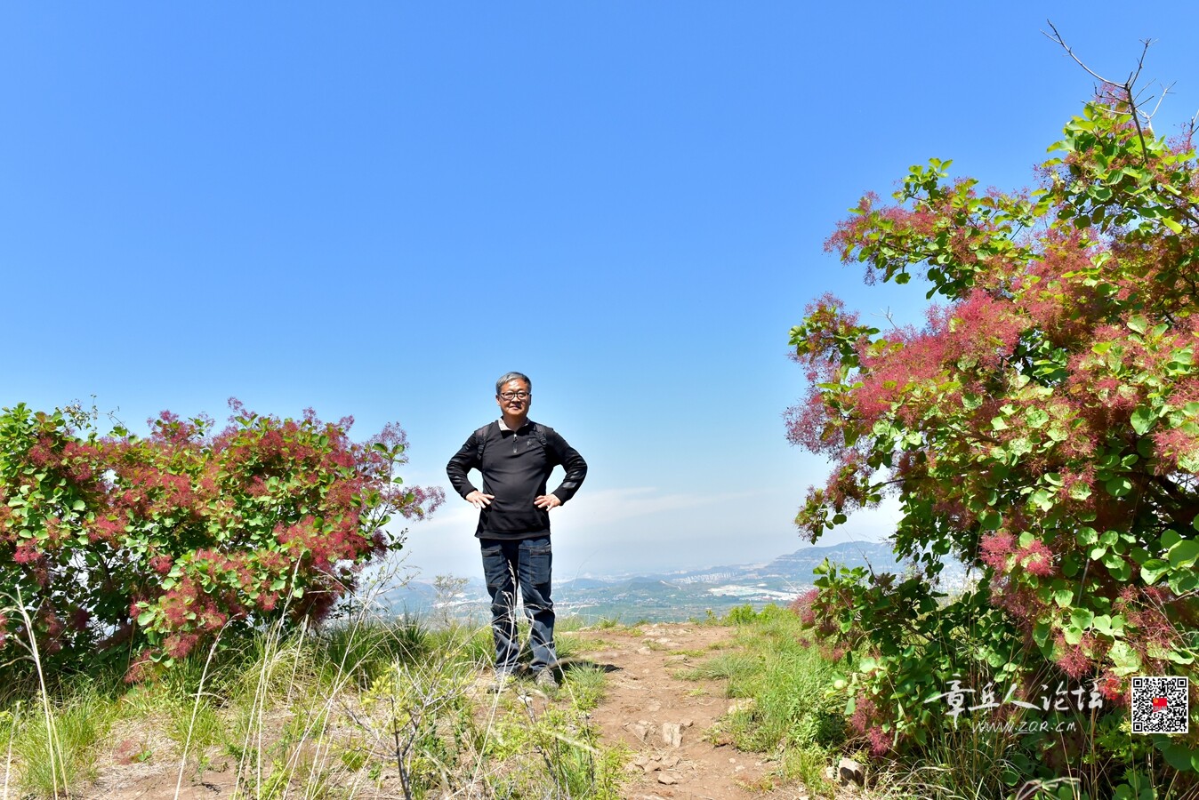 DSC_7879.jpg
