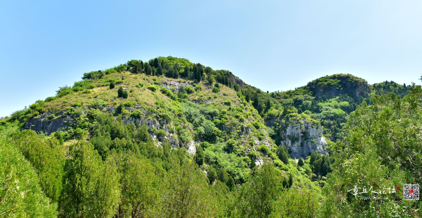 DSC_7894.jpg