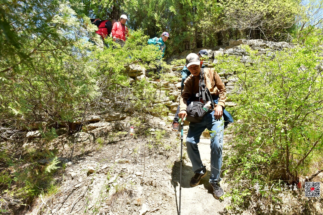 DSC_7918.jpg