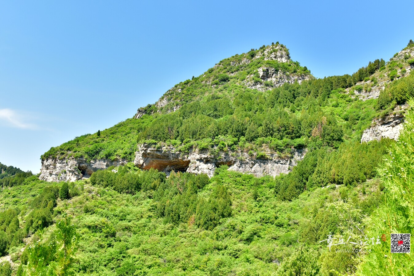 DSC_7916.jpg