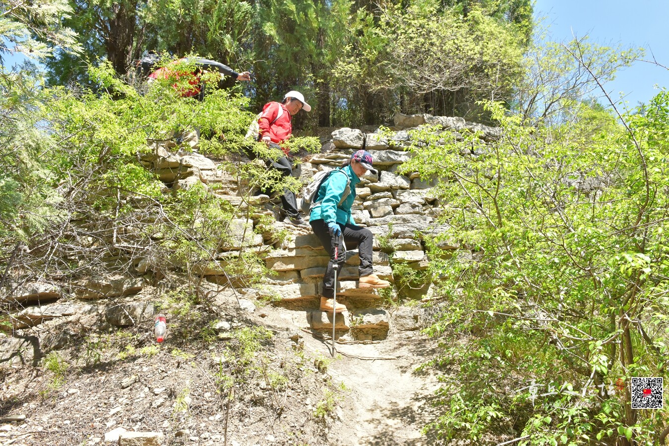 DSC_7921.jpg