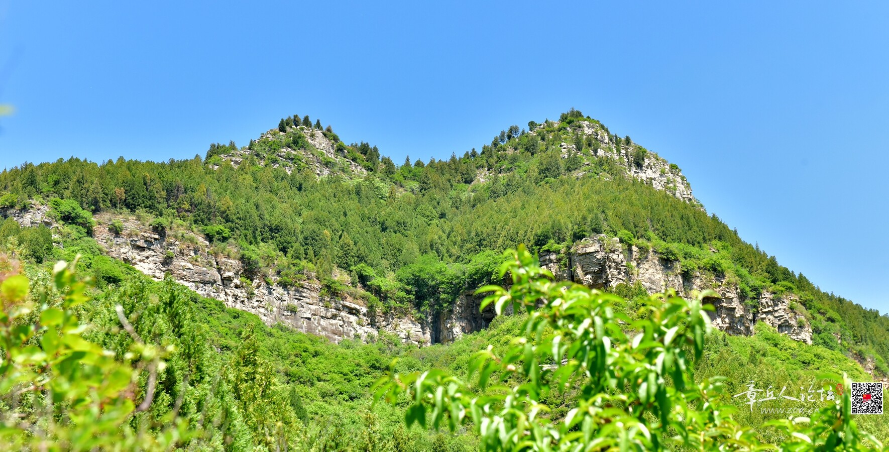 DSC_7923.jpg