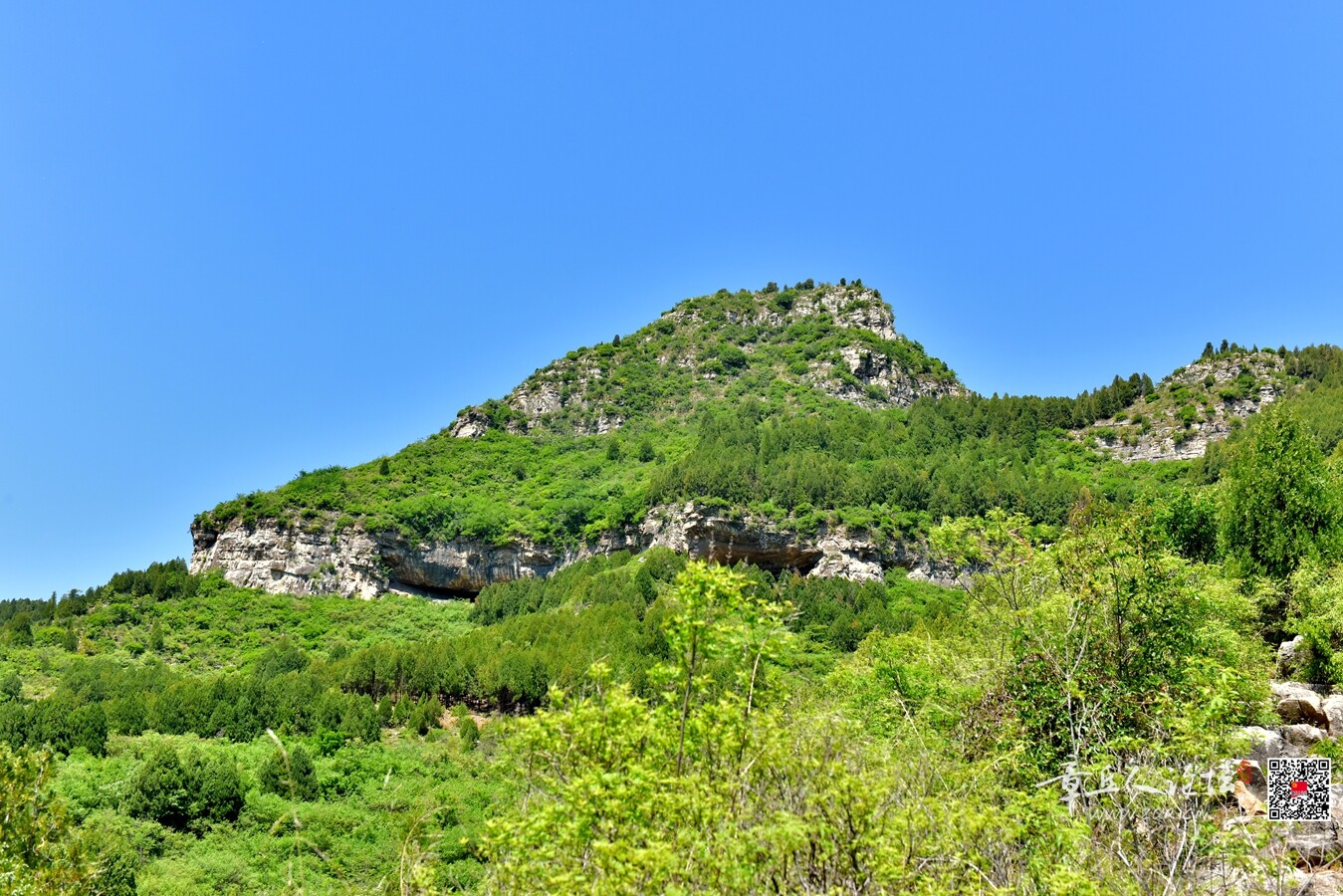 DSC_7925.jpg