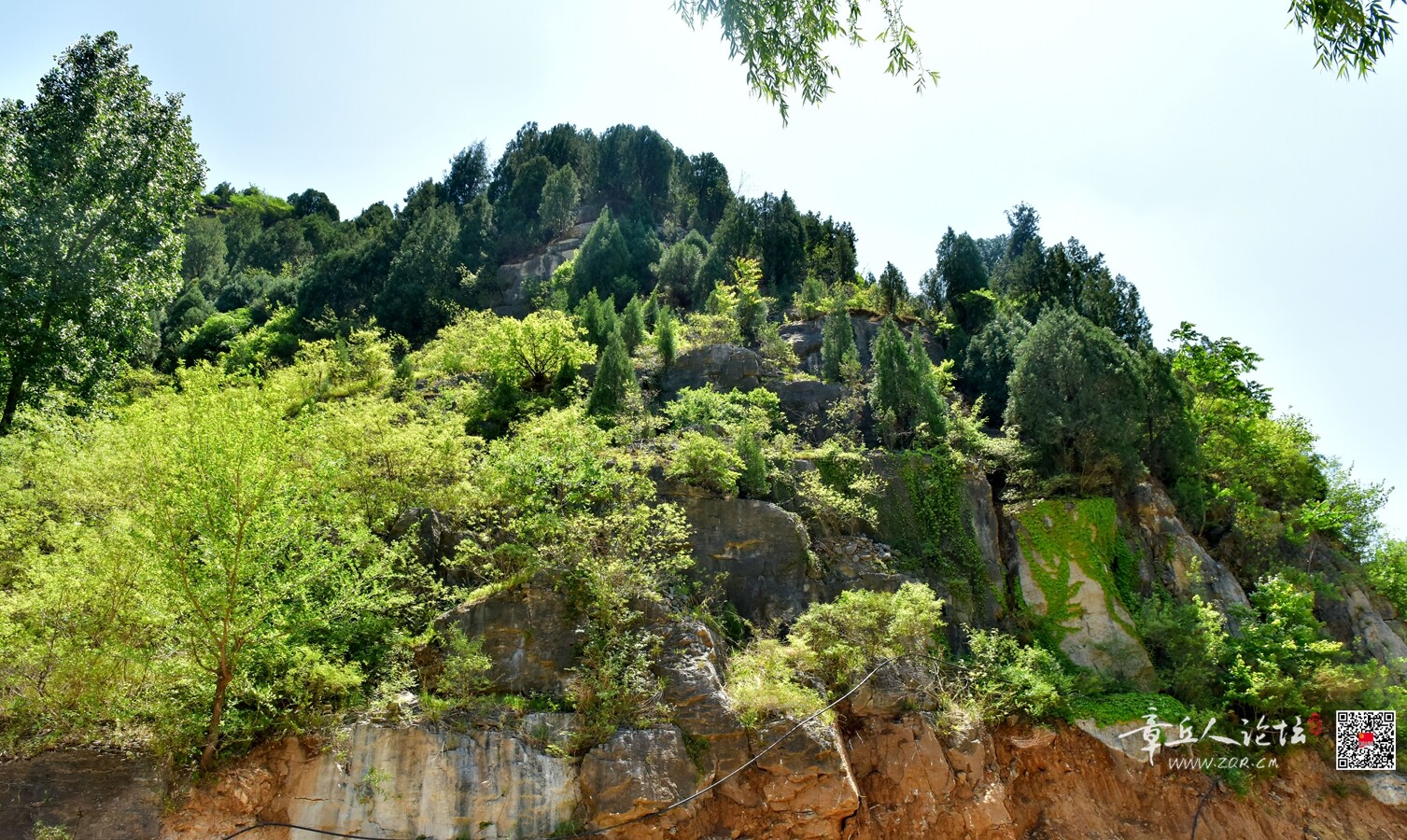 DSC_7948.jpg