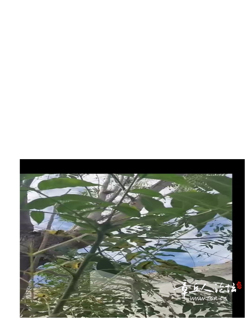 截图202605070833358716.png