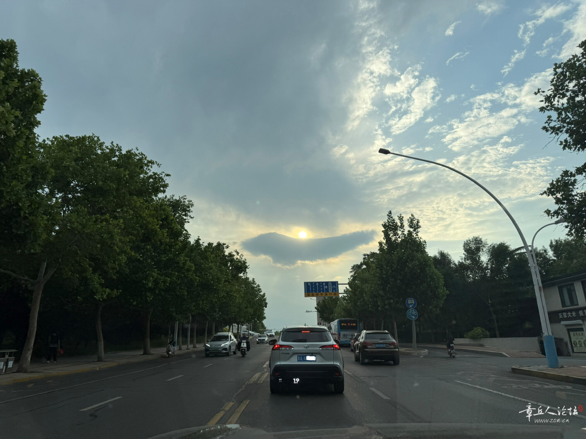 IMG_6697.jpeg