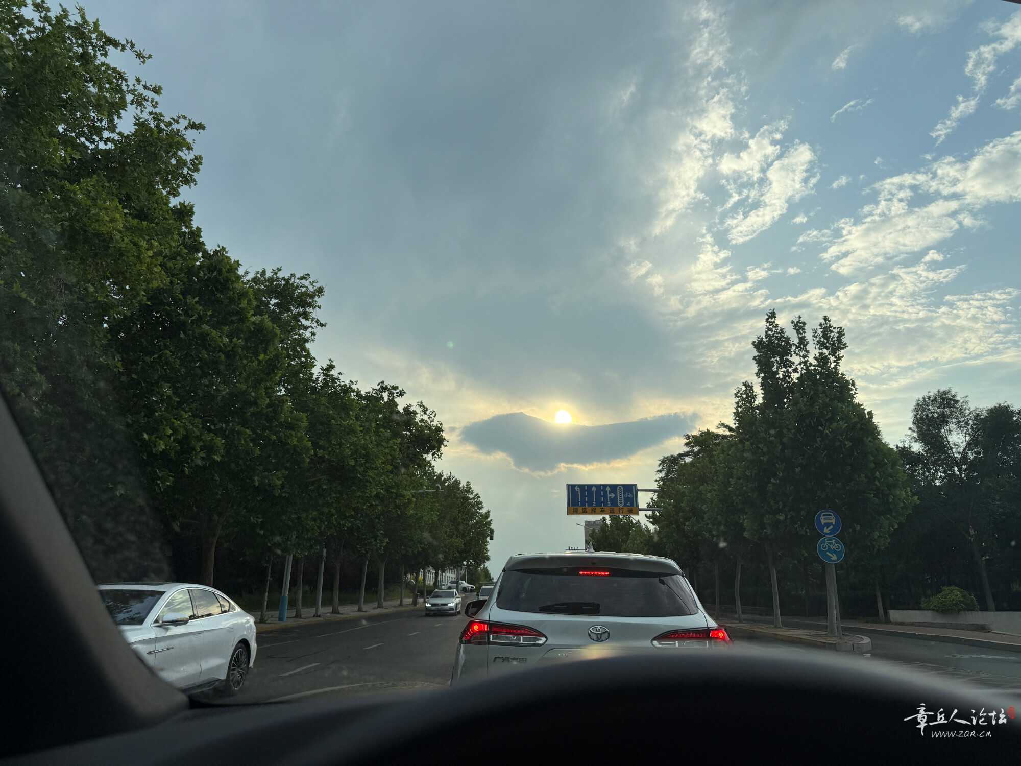IMG_6698.jpeg
