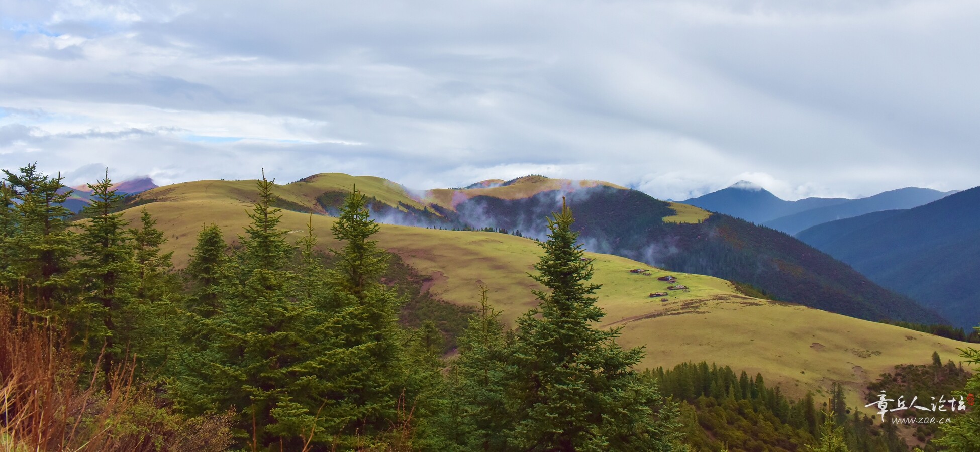 DSC_8703.jpg
