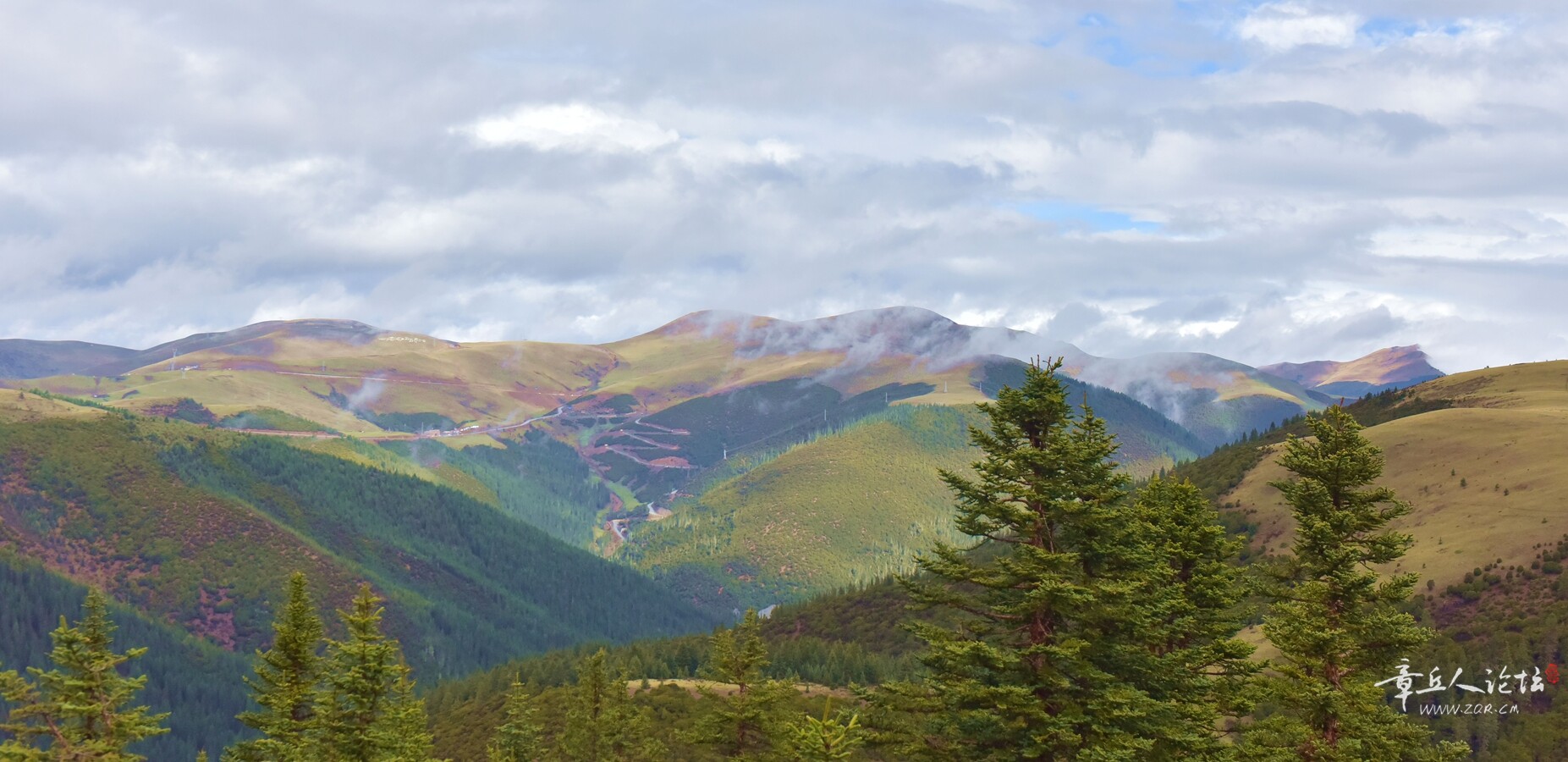 DSC_8742.jpg
