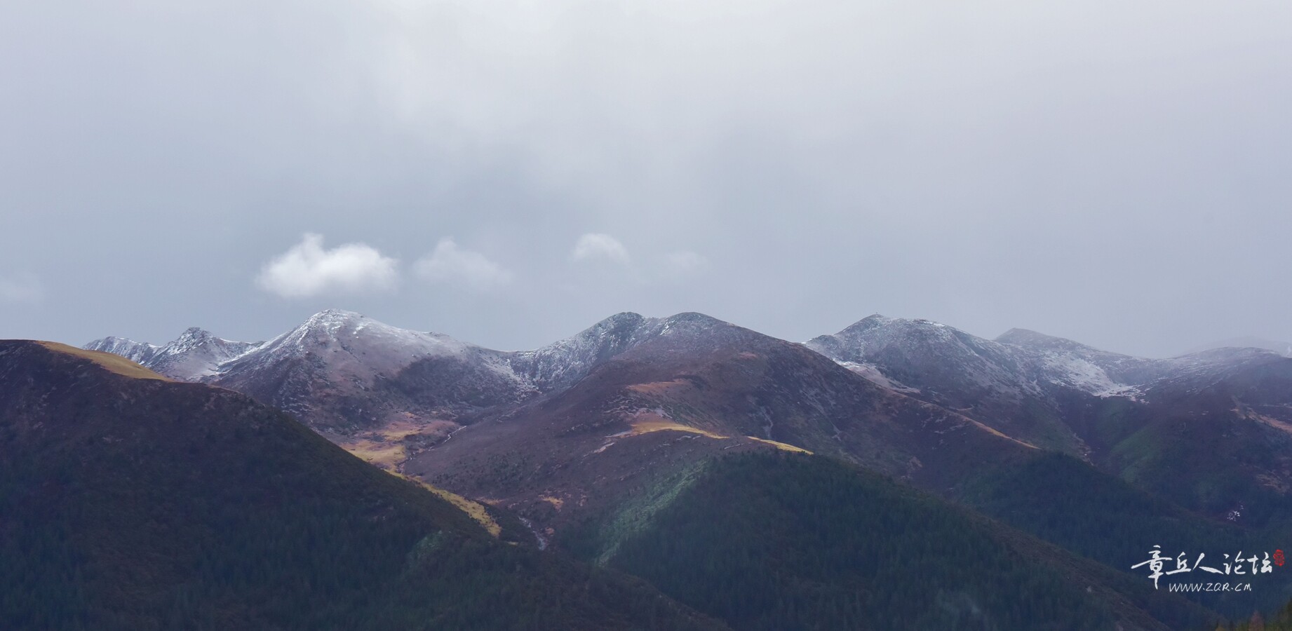 DSC_8762.jpg