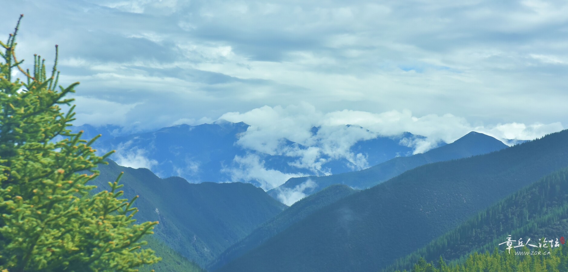 DSC_8800.jpg